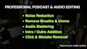 professionally do audio editing and noise removal
