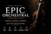 record violin cello live orchestral string instrumentals