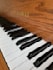 record audio or accompaniment piano tracks for you