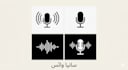 do professional urdu voice over for your projects