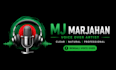provide professional bangla voice over