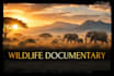 perform a fun wildlife or nature documentary voiceover