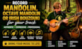 record mandolin, octave mandolin or irish bouzouki for your track
