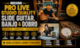 record pro live studio quality slide guitar, banjo and dobro