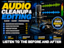 do audio cleanup, forensic restoration, with lip sync, remove background noise