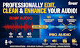 professionally edit, clean and enhance your audio