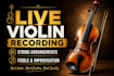 make the recording of the violin part, improvisation, strings arrangement,