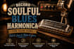 record soulful blues harmonica for your song
