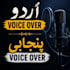 be your professional urdu and punjabi