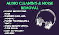 professionally remove background noise and clean your audio