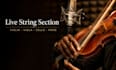 record a professional live string section violin, viola, cello and more