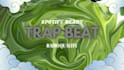produce a professional trap song for spotify release