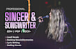 be your powerful female singer vocalist pop rock edm