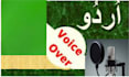 do voice overs in urdu in impressive voice