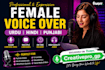 record professional urdu hindi and punjabi voice over