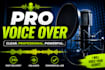 provide clear voice over