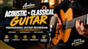 record professional acoustic and classical guitar for your song