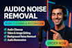 forensic audio editing, cleanup, detect background noise, metadata editing