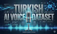 provide professional turkish voice data for ai training