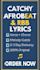 write professional song lyrics in any genre