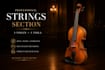 compose the perfect strings section using violin and viola