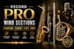 record pro saxophone, clarinet, flute and horn section