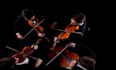record string quartet, real orchestra for wedding and film maker, no score
