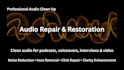 repair, restore and clean up your audio recording
