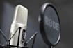 record a professional ukrainian, english voice over