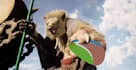 do professional sound design and game audio implementation