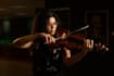 record high quality viola or violin parts for you