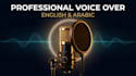 do professional ai voice over