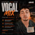 professionally mix your song