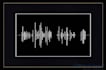 high quality voice over in many languages