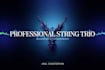 create professional string trio recordings and arrangements