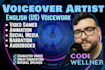 provide voice work for your project