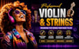 record professional violin and custom string arrangements for your music