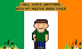 say anything in my native irish voice