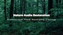 restore and clean up your field recordings