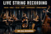 record cinematic violin, viola, cello, contrabass, harp, and string ensemble
