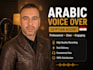 record a professional arabic egyptian voice over