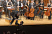 be your music composition and theory teacher