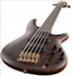 record the bass for your song