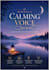 be a calm sleep story voice