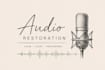 remove noise, echo and professionally restore your audio