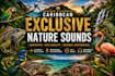 record exclusive authentic caribbean nature sounds