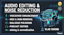 do professional audio editing and noise reduction