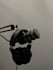 do bengali voice over for you
