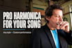 record expressive professional harmonica for your song