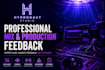 provide professional mix feedback and song review